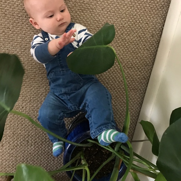 Zara Mini Baby Unisex Lined denim overalls - Picture 8 of 9